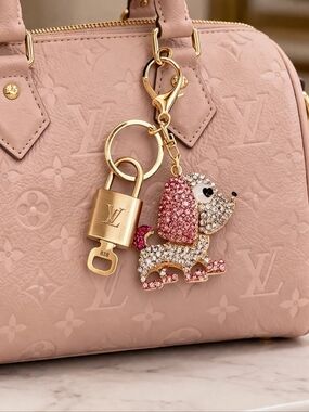 Authentic Louis Vuitton Gold Padlock 🔒 Shiny LV Key + Bag Unbranded Dog Charm
